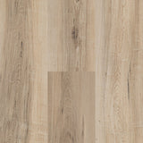 Next Floor Laminate Regatta Sand